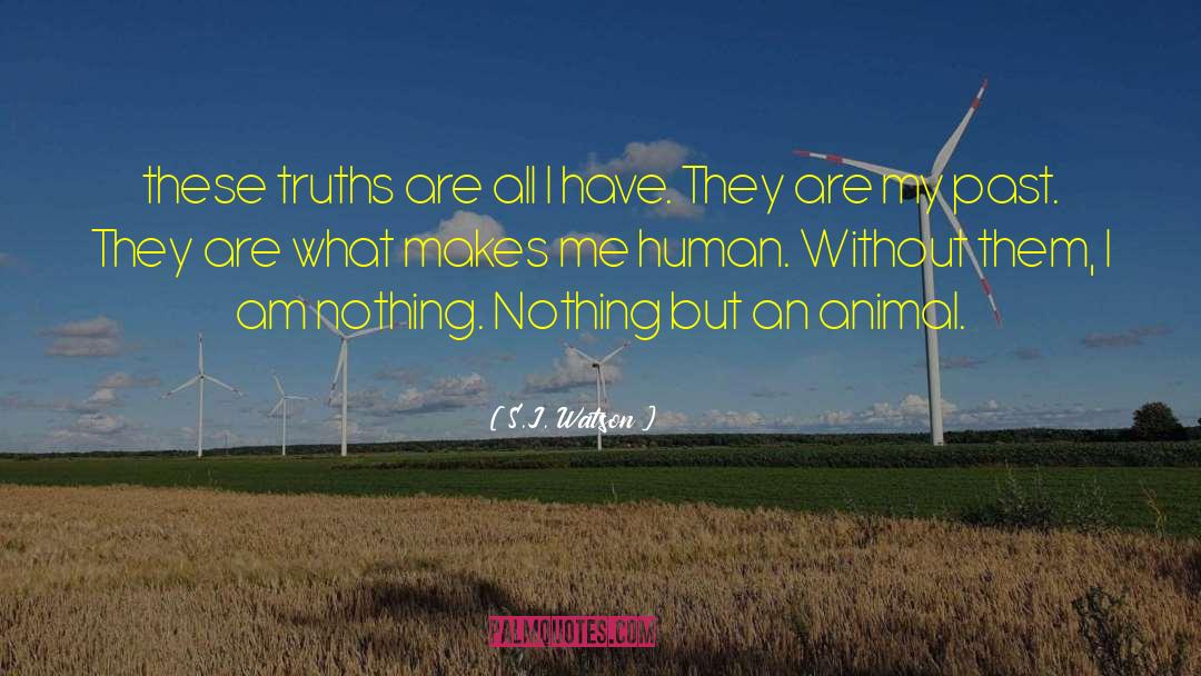 Animal Rescue quotes by S.J. Watson