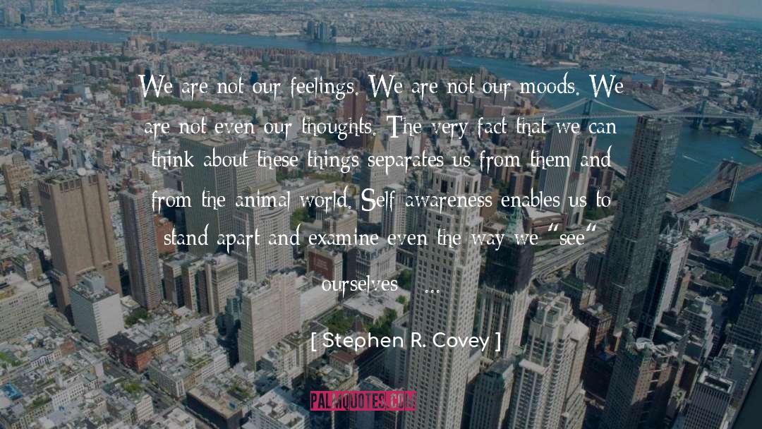 Animal Rescuers quotes by Stephen R. Covey