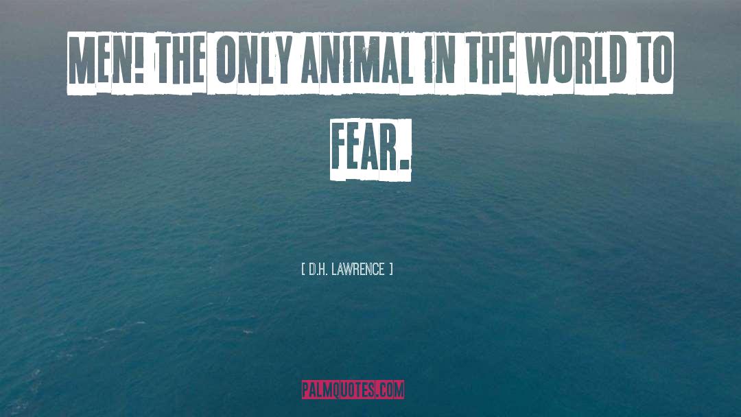 Animal Rights Activists quotes by D.H. Lawrence