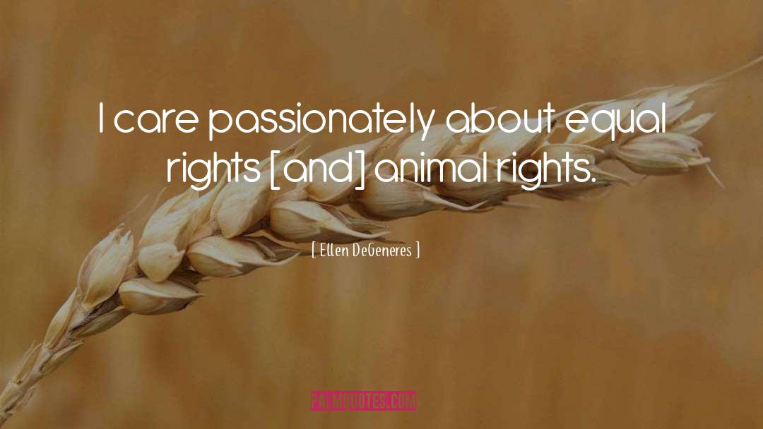 Animal Rights quotes by Ellen DeGeneres