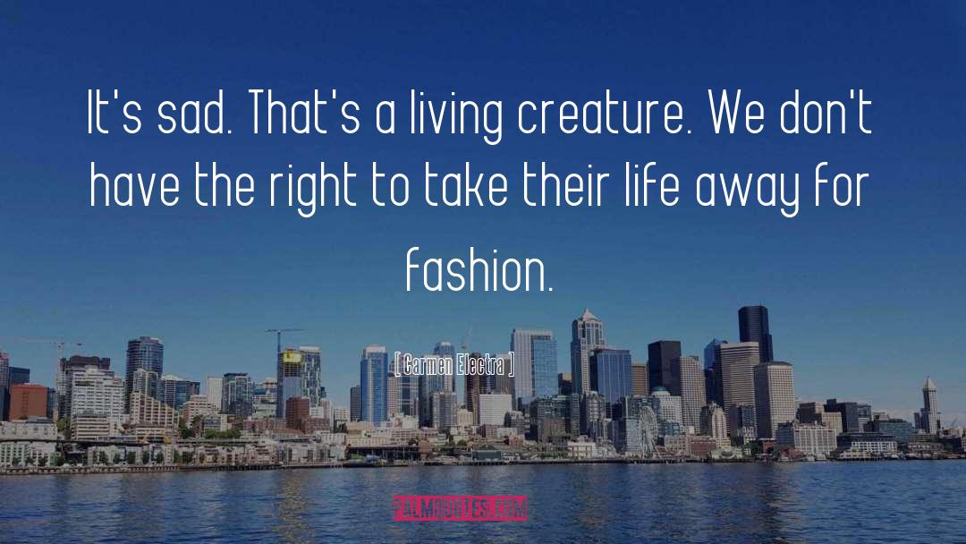 Animal Rights quotes by Carmen Electra