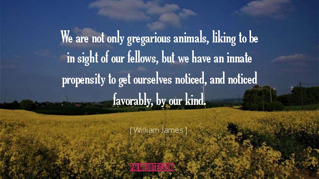 Animal Sacrifice quotes by William James