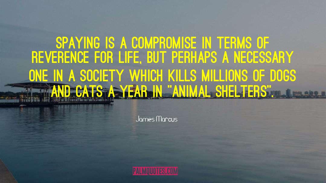 Animal Shelters quotes by James Marcus