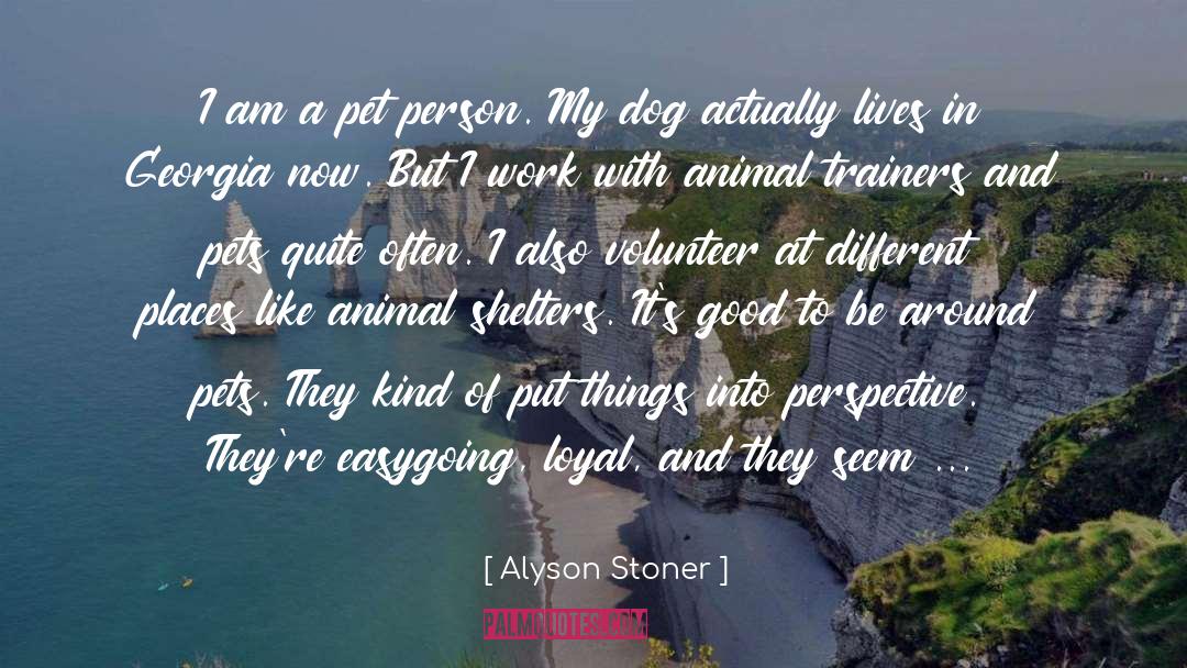 Animal Shelters quotes by Alyson Stoner