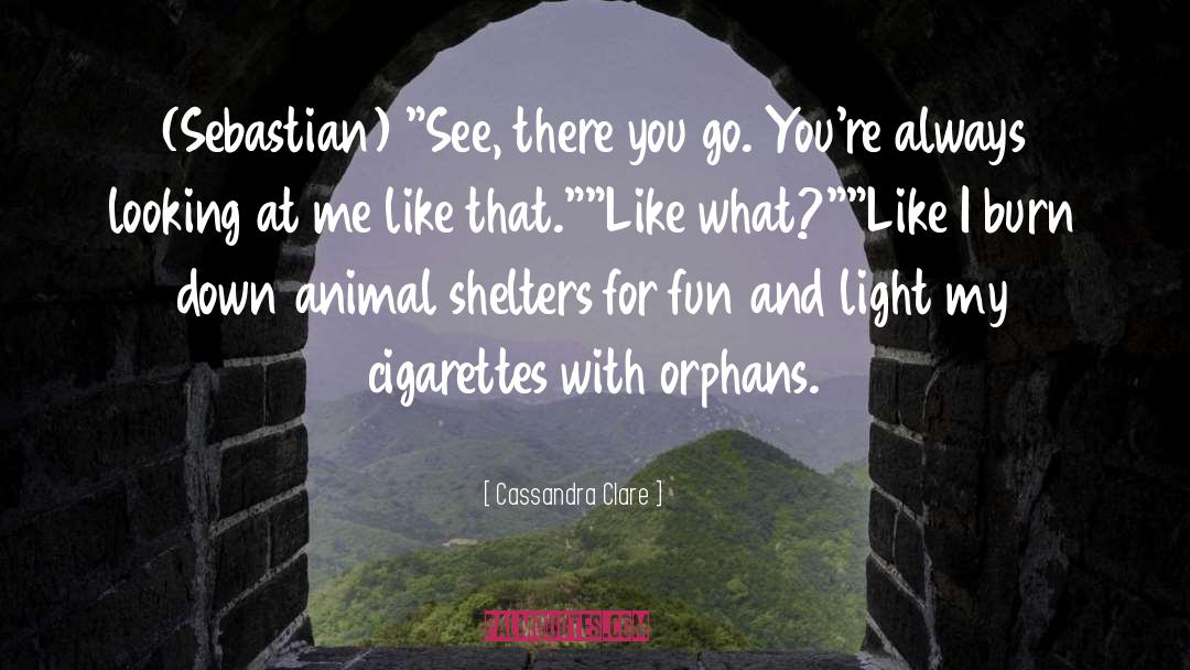 Animal Shelters quotes by Cassandra Clare