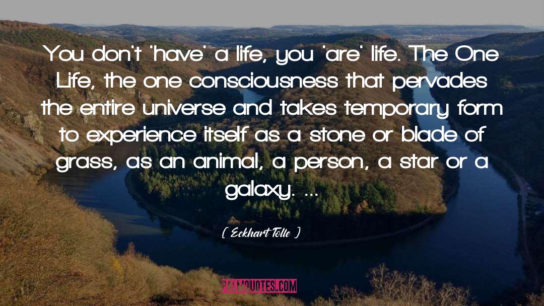 Animal Shifters quotes by Eckhart Tolle