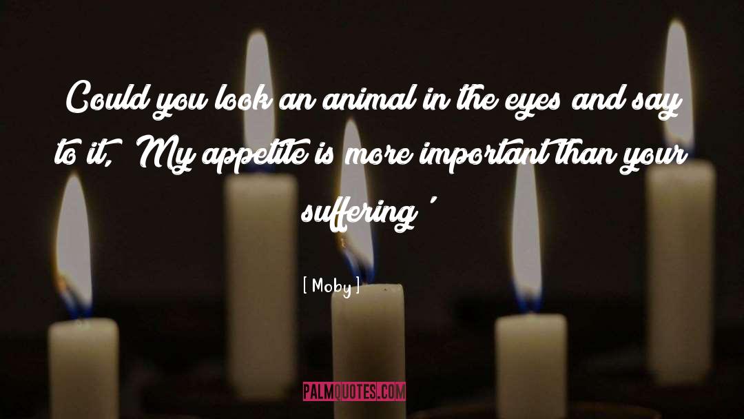 Animal Suffering quotes by Moby