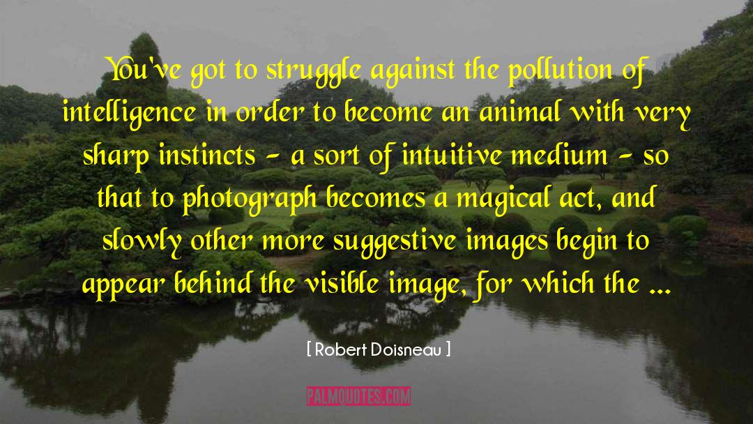 Animal Testing quotes by Robert Doisneau