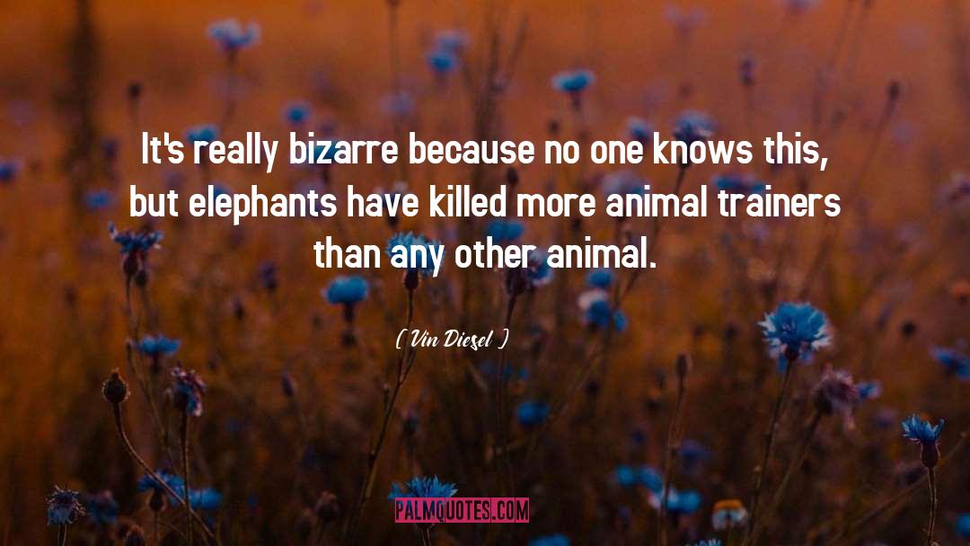 Animal Trapping quotes by Vin Diesel