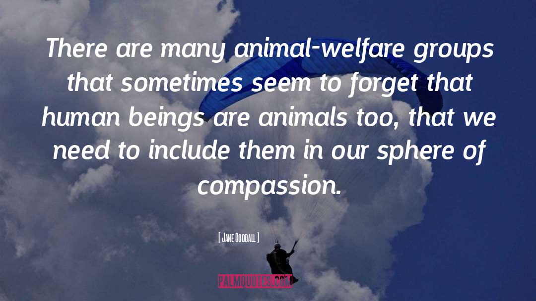 Animal Welfare quotes by Jane Goodall