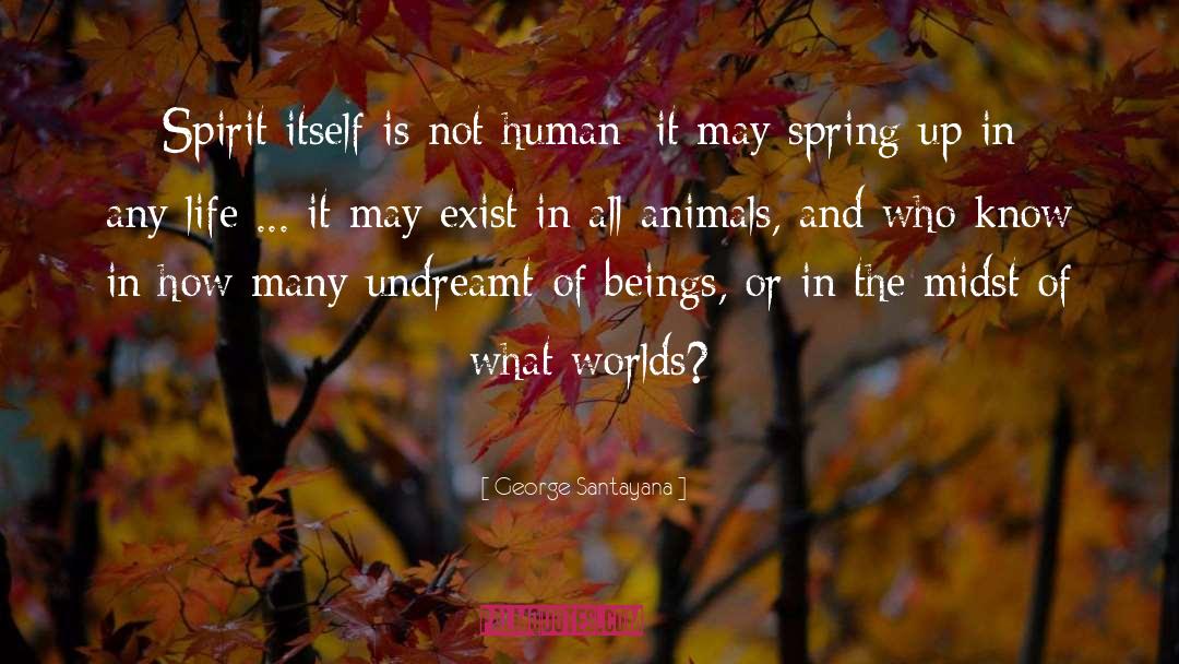 Animal World quotes by George Santayana