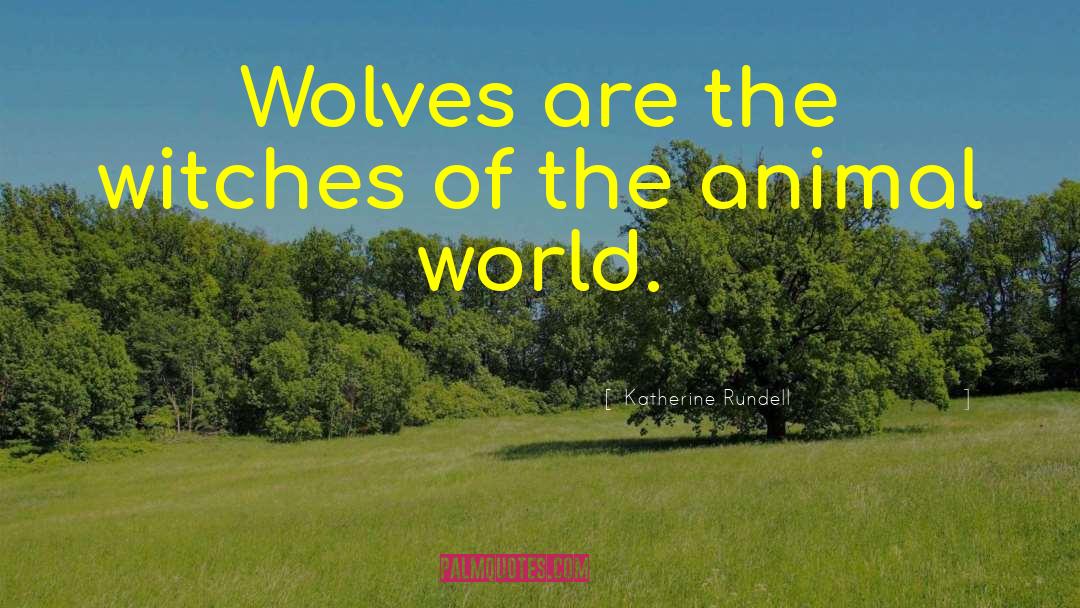 Animal World quotes by Katherine Rundell