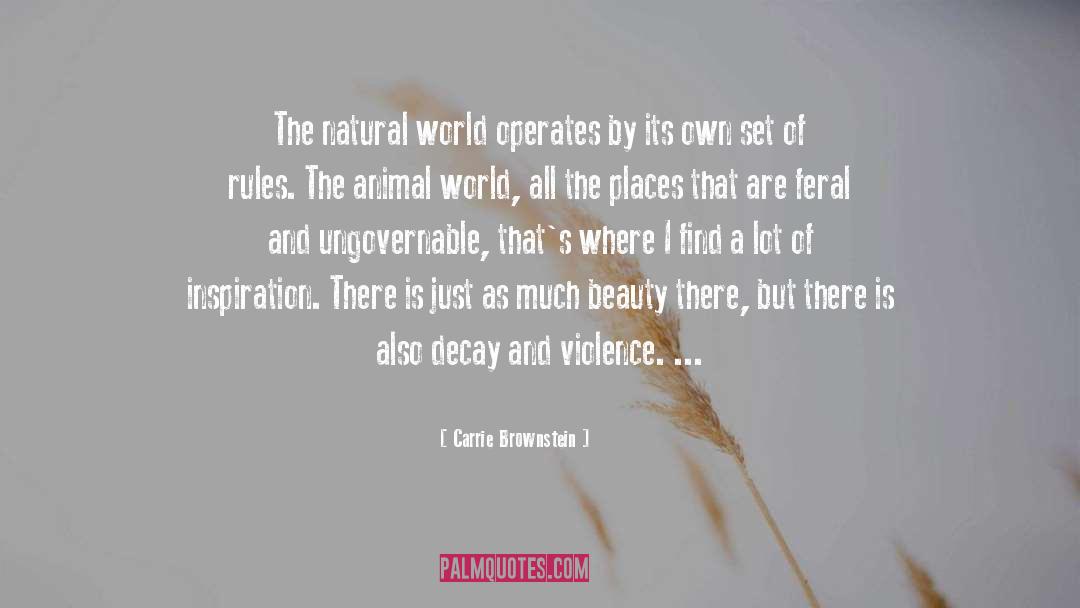 Animal World quotes by Carrie Brownstein
