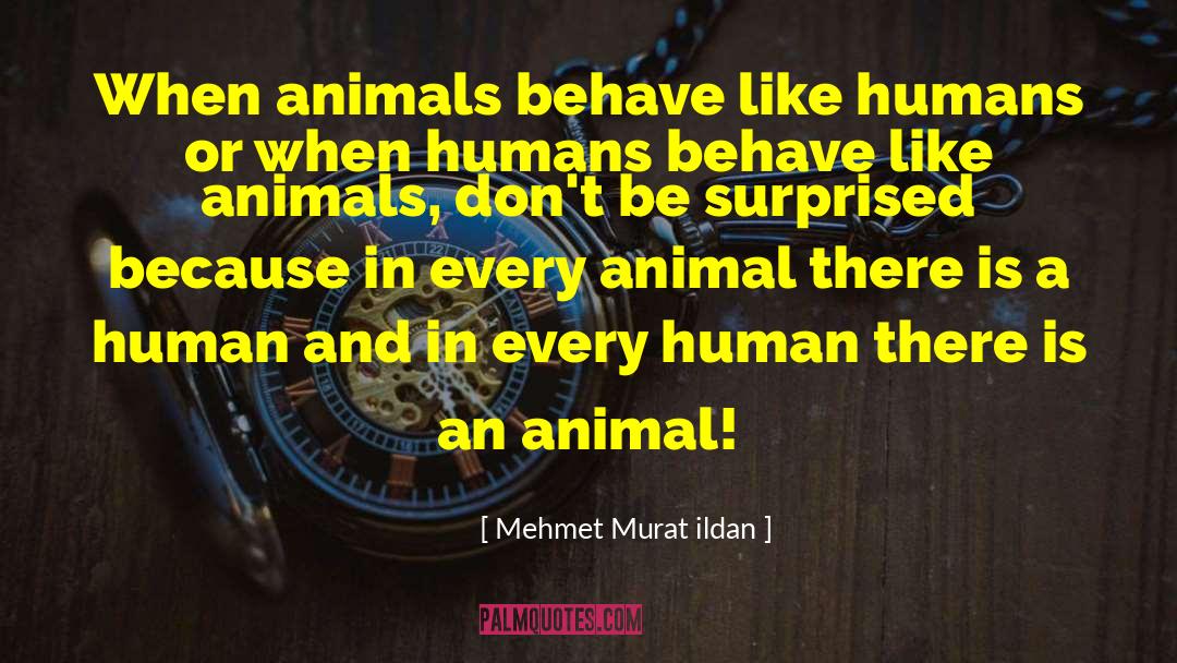 Animals And Attitude quotes by Mehmet Murat Ildan