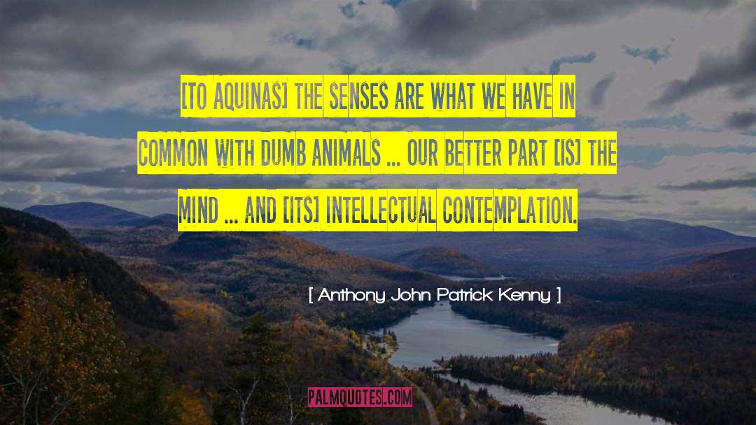 Animals And Society quotes by Anthony John Patrick Kenny