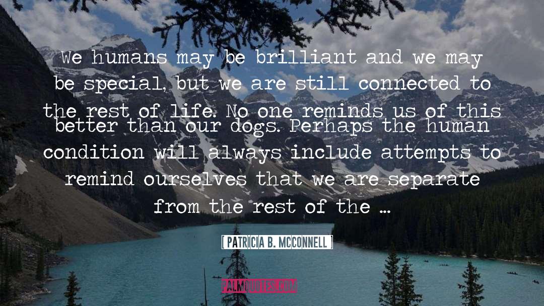 Animals Better Than Humans quotes by Patricia B. McConnell