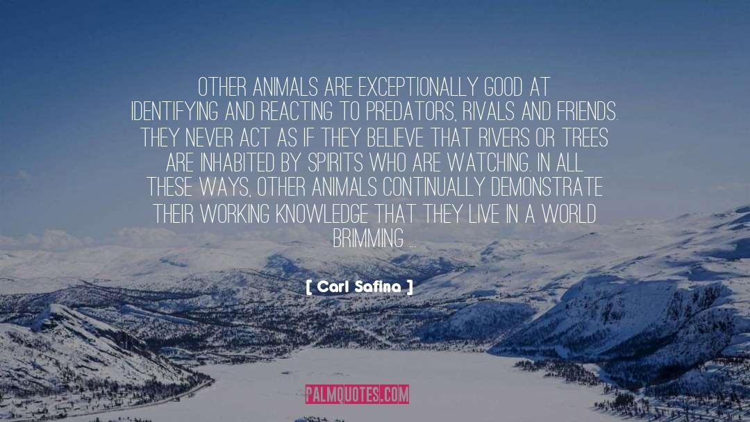 Animals Better Than Humans quotes by Carl Safina