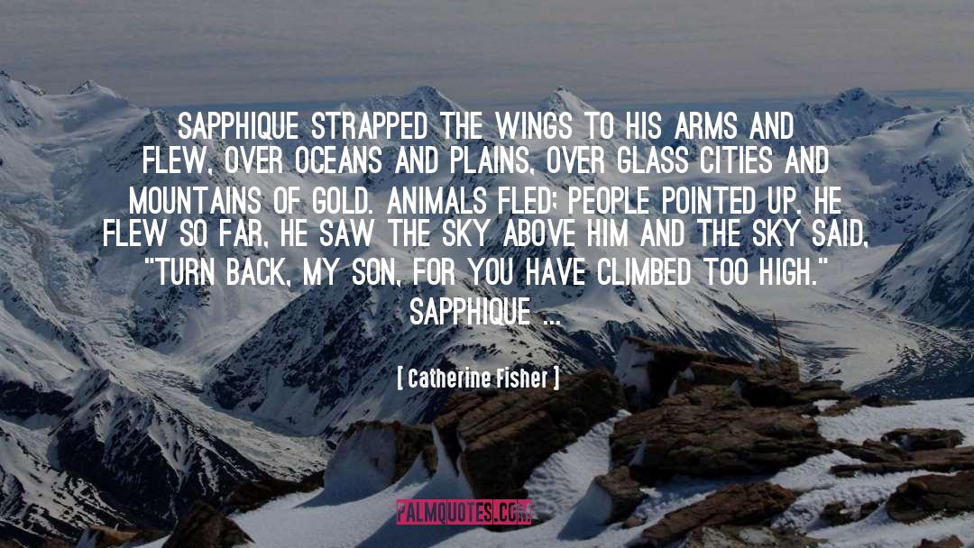 Animals quotes by Catherine Fisher