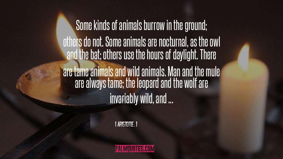 Animals quotes by Aristotle.
