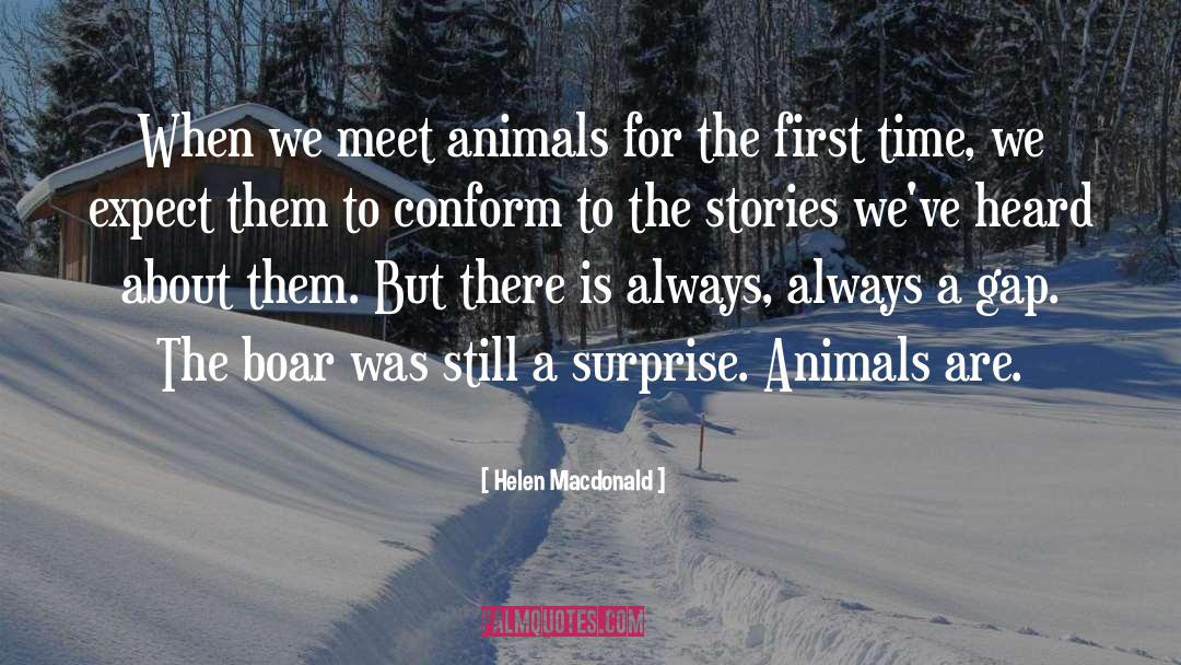 Animals Stories Heroism quotes by Helen Macdonald