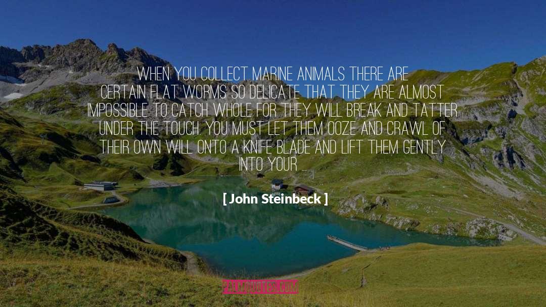 Animals Stories Heroism quotes by John Steinbeck