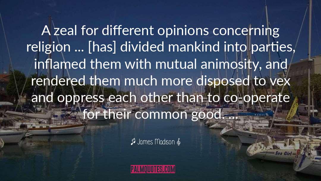 Animosity quotes by James Madison