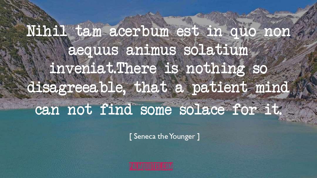 Animus quotes by Seneca The Younger