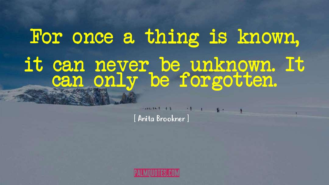 Anita Blake quotes by Anita Brookner