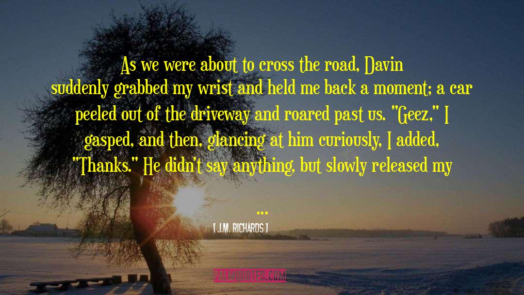 Anna And Davin quotes by J.M. Richards