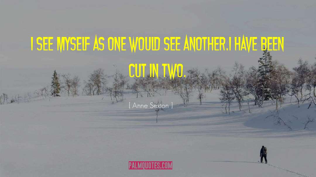 Anne Island quotes by Anne Sexton