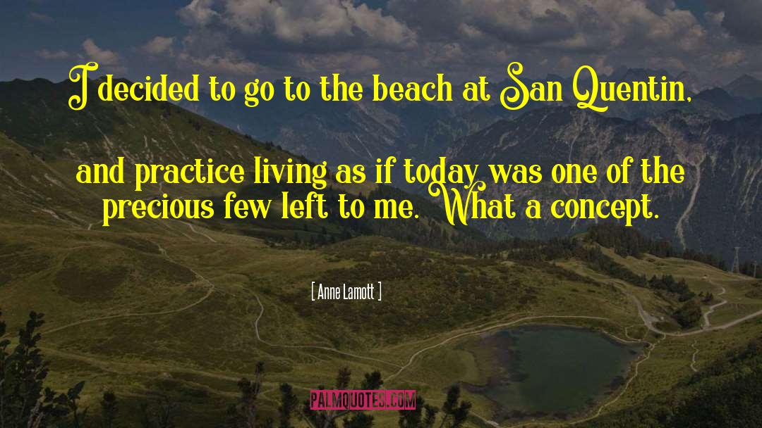 Anne Lamott quotes by Anne Lamott