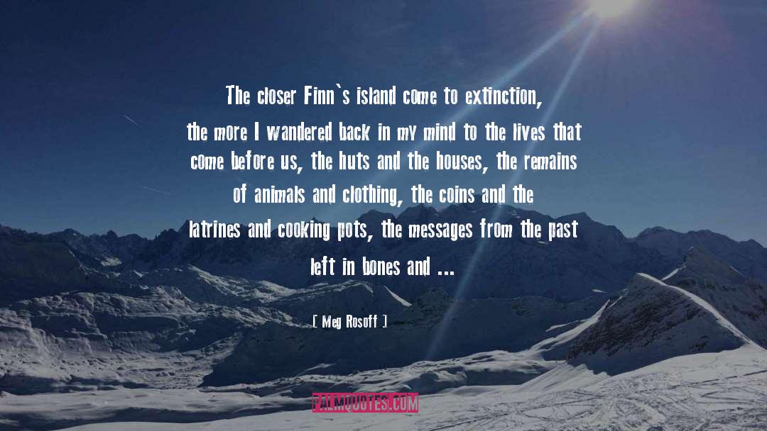 Anne Of The Island quotes by Meg Rosoff