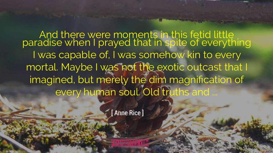 Anne Of Windy Poplars quotes by Anne Rice
