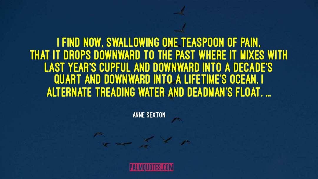 Anne Sexton quotes by Anne Sexton