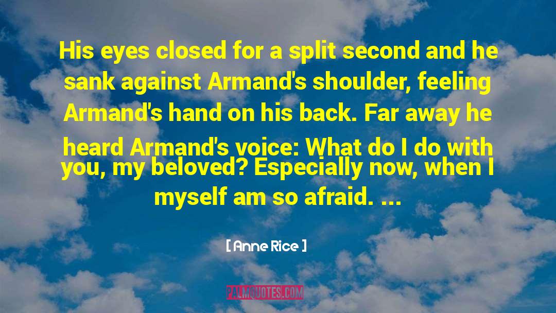 Anne Somerset quotes by Anne Rice