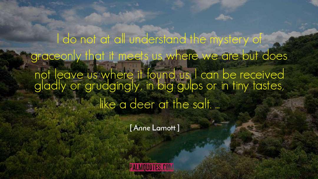 Anne Zoelle quotes by Anne Lamott