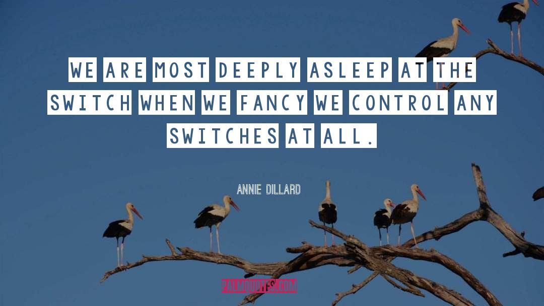 Annie Dillard quotes by Annie Dillard