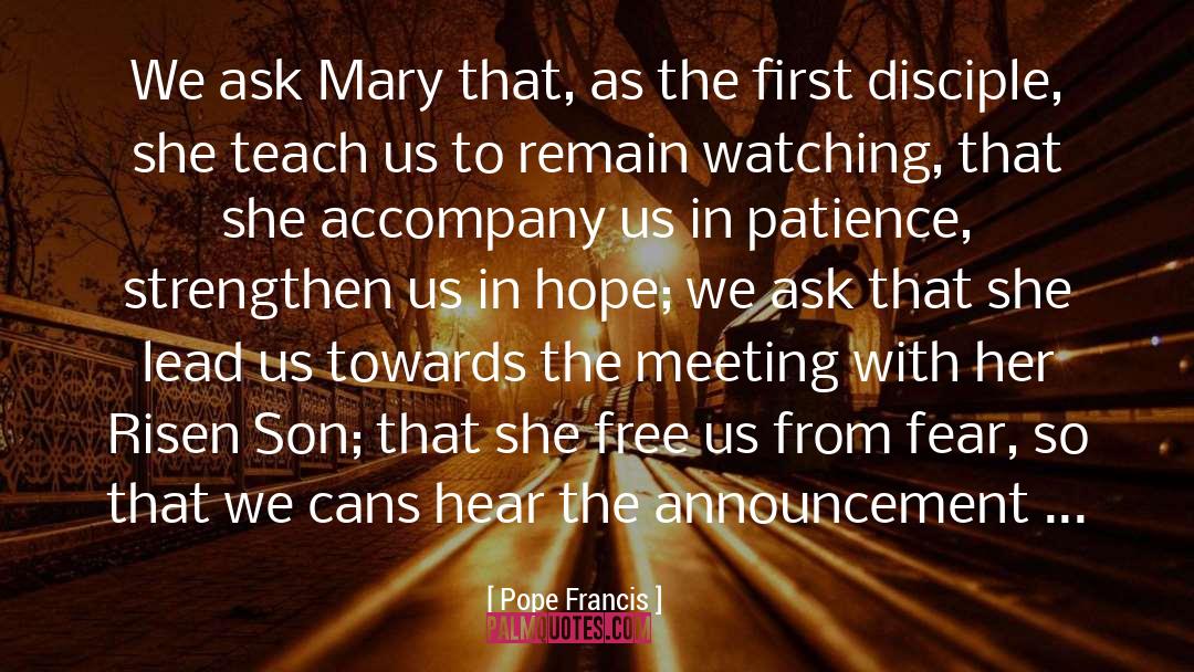 Announcement quotes by Pope Francis