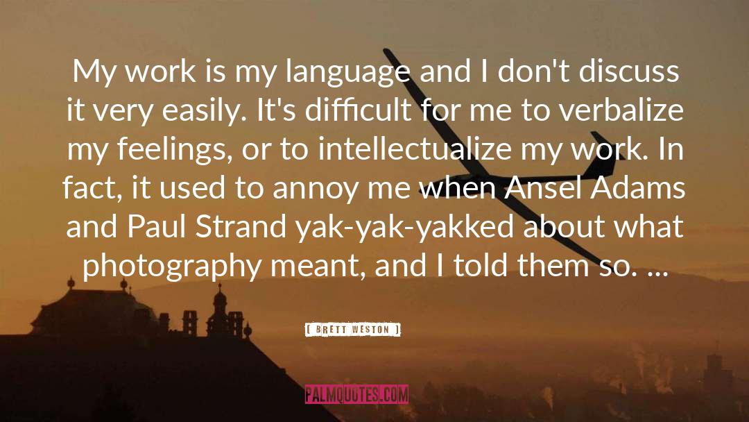 Annoy quotes by Brett Weston