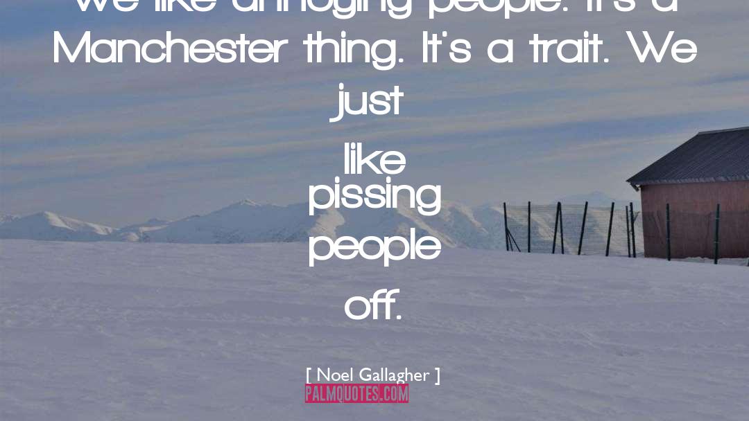 Annoying People quotes by Noel Gallagher