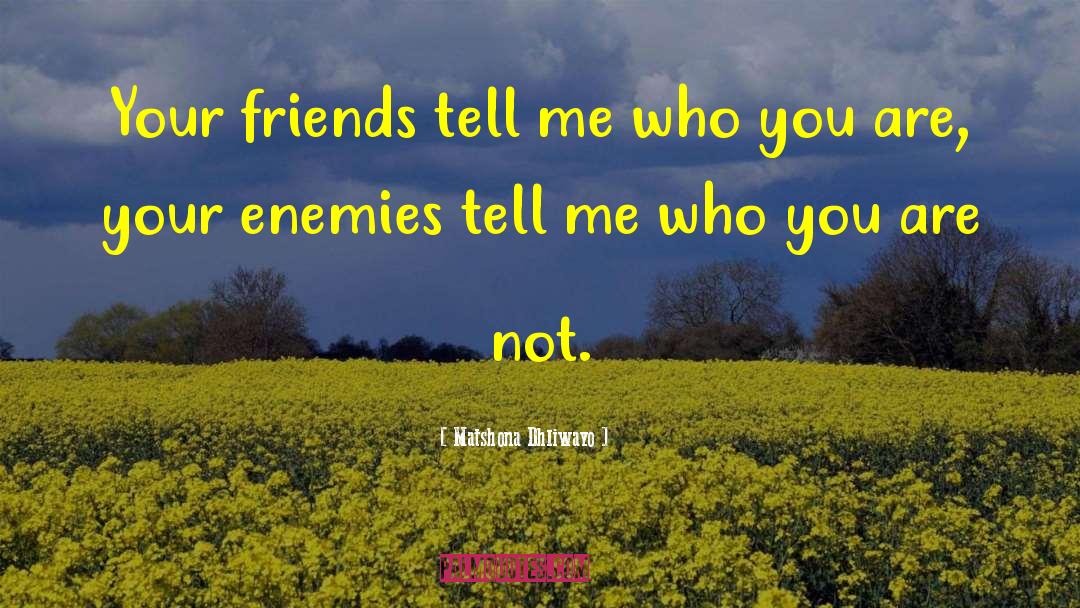 Annoying Your Enemies quotes by Matshona Dhliwayo