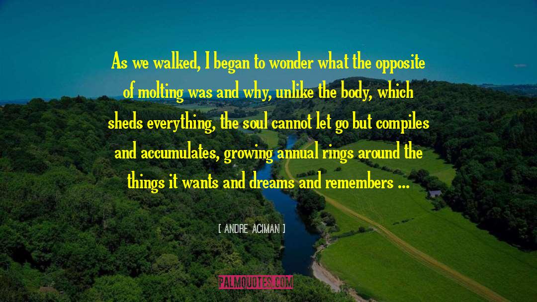 Annuals quotes by Andre Aciman