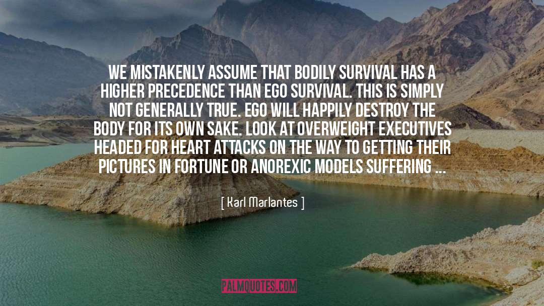 Anorexic quotes by Karl Marlantes