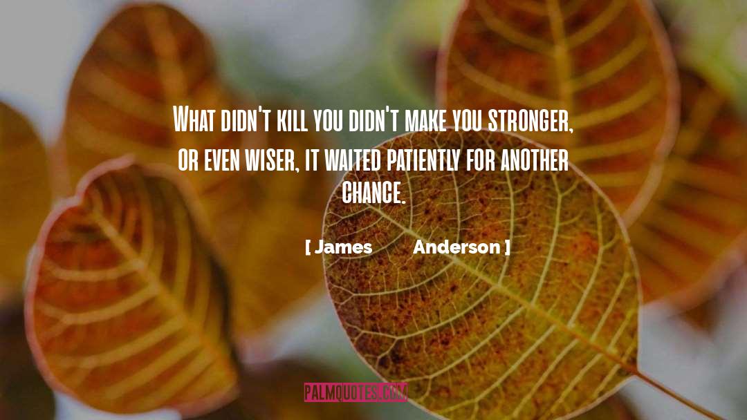 Another Chance quotes by James          Anderson