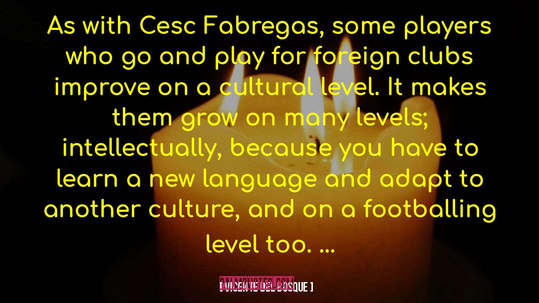 Another Culture quotes by Vicente Del Bosque