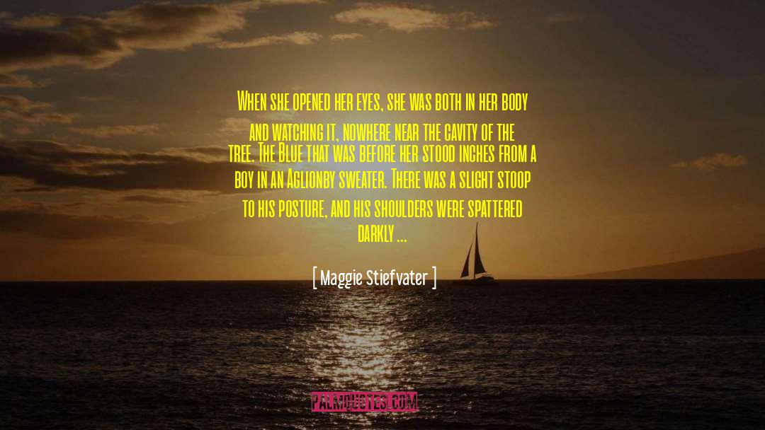 Another Day Closer quotes by Maggie Stiefvater