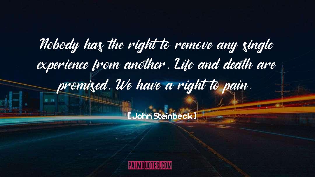 Another Life quotes by John Steinbeck