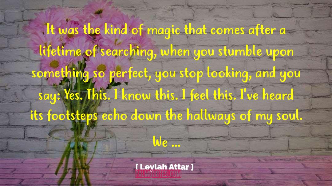 Another Lifetime quotes by Leylah Attar