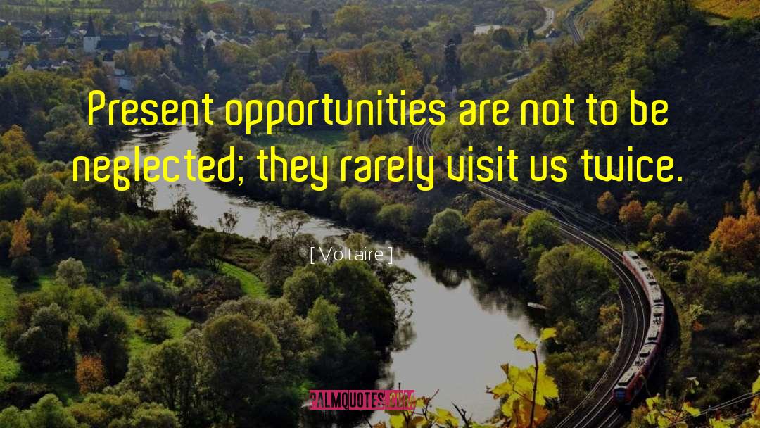 Another Opportunity quotes by Voltaire