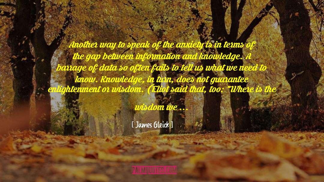 Another Way quotes by James Gleick